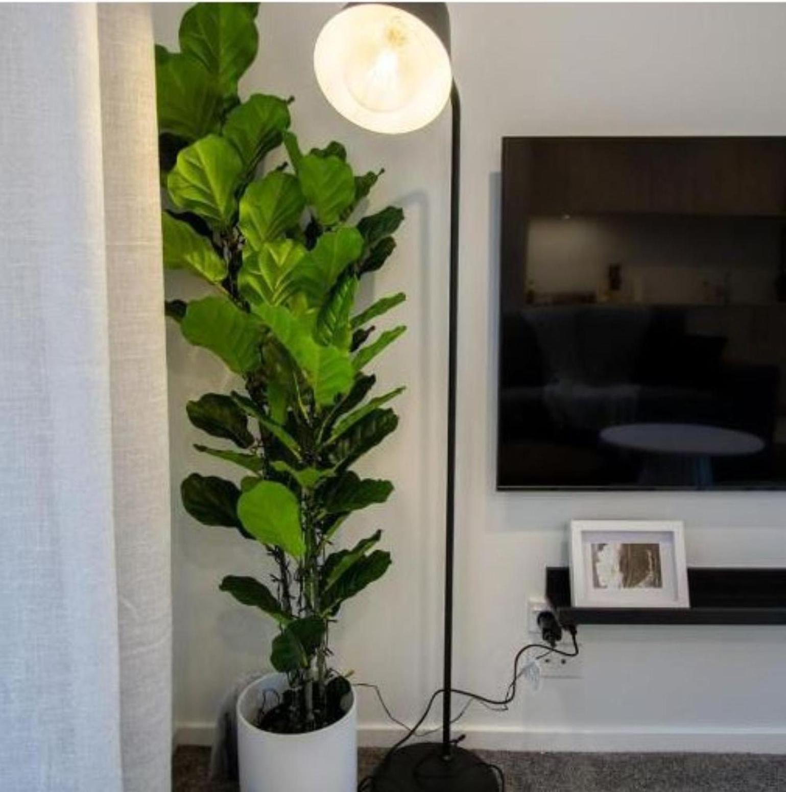 A Touch Of Luxury In Chch Cbd Leilighet Christchurch Eksteriør bilde